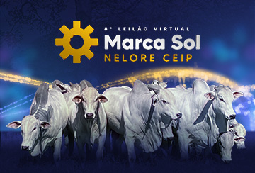 8º LEILÃO VIRTUAL MARCA SOL NELORE CEIP